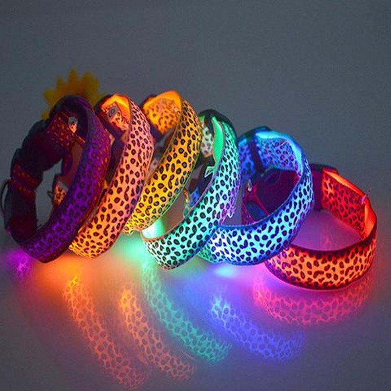 LED collar