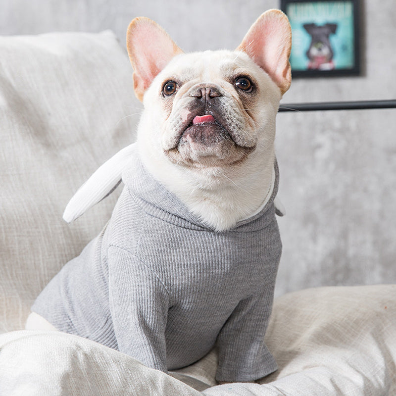 Hund Pet Kleidung Frühling Und Herbst Kleidung