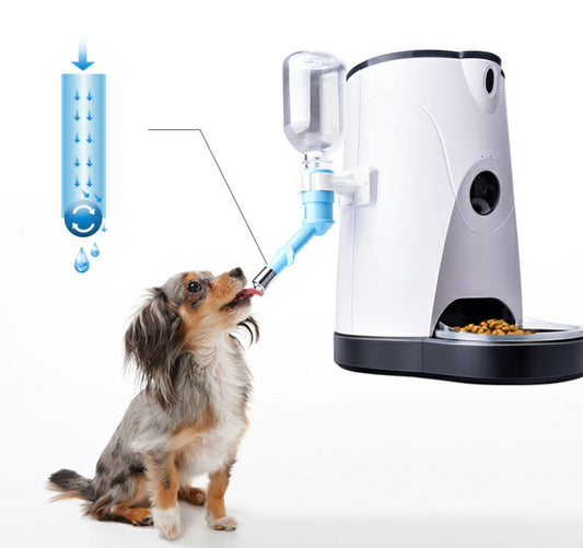 Pet automatische feeder