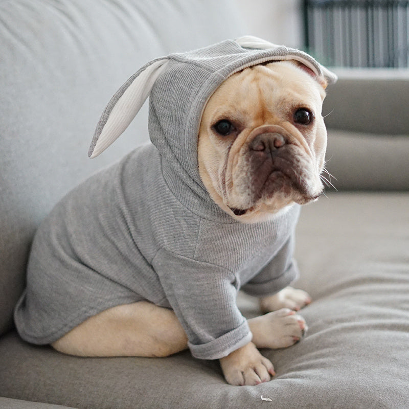 Hund Pet Kleidung Frühling Und Herbst Kleidung