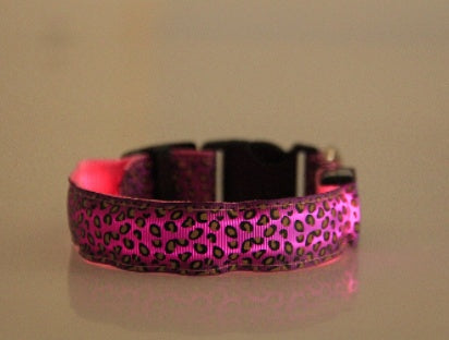 LED collar