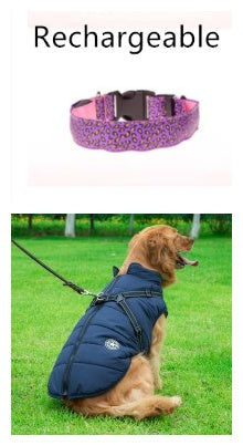 LED collar