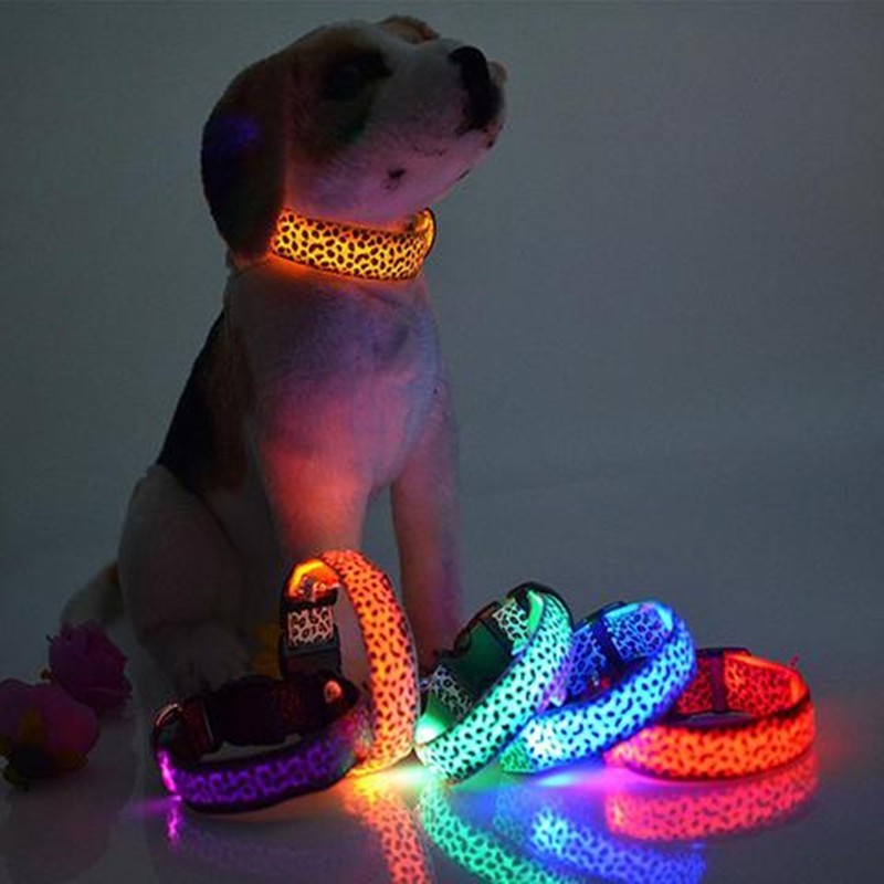 LED collar