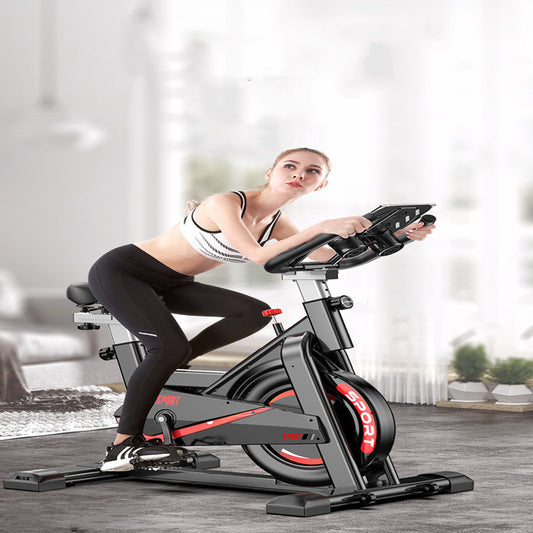 Fitness Equipment Silent Bike