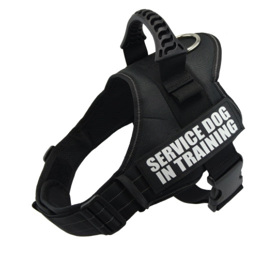 Explosion-proof Brust Harness Pet Leine