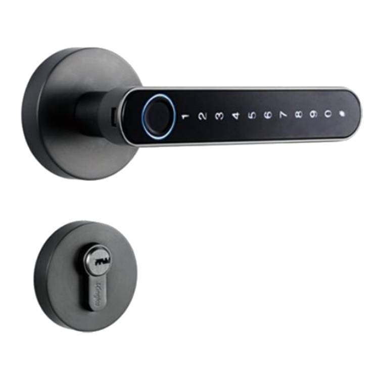 Smart door lock