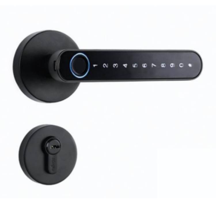 Smart door lock