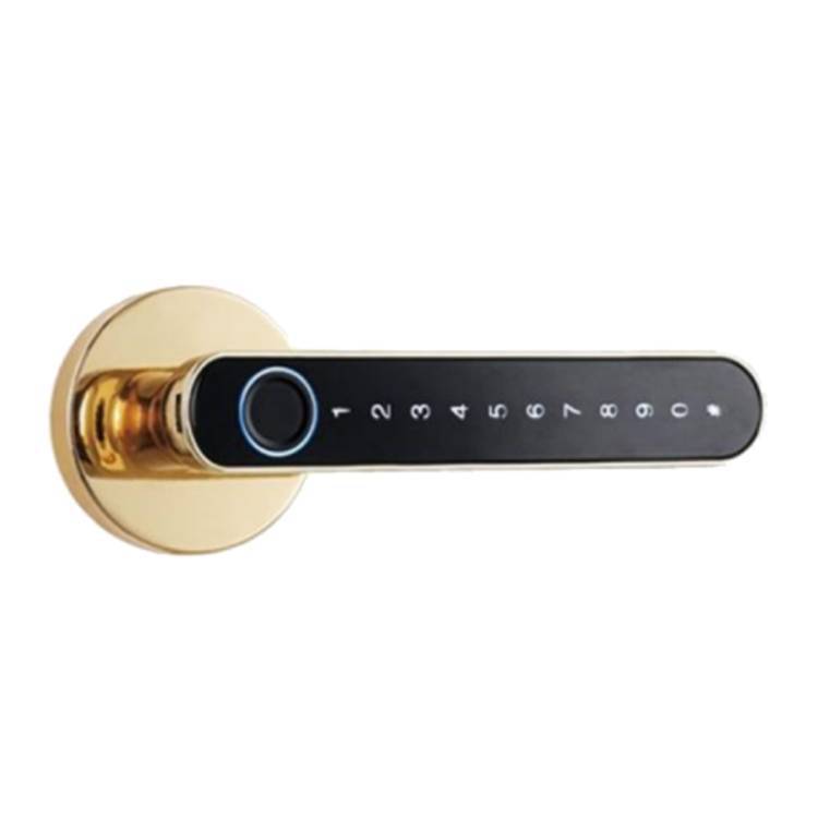 Smart door lock