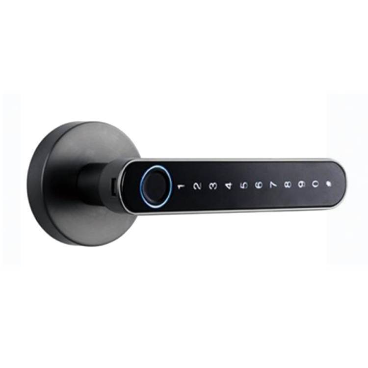 Smart door lock